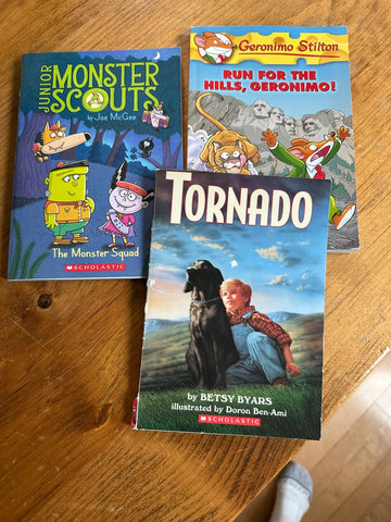 Various Book set Youth Chapter Book