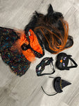 Build a Bear Halloween witch costume Dolls and Accessories