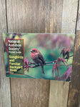 National Audubon Soc. Songbirds, corners bent a little Educational