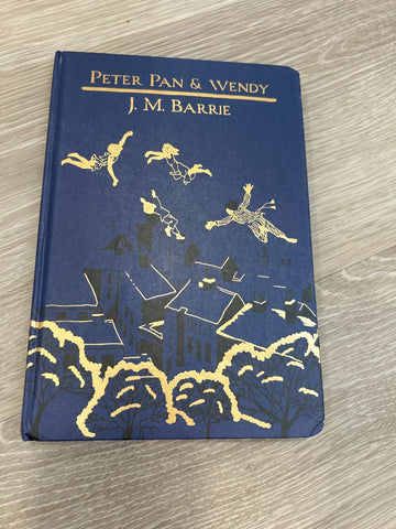 Peter Pan journal No story, only notebook pages Early Reader