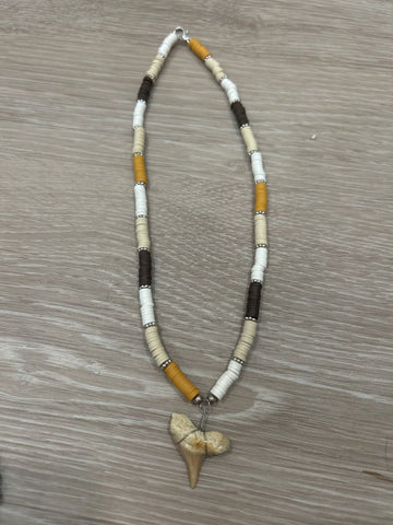 Shark tooth necklace NWOT Jewelry