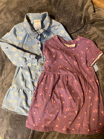 Okie Dokie Daisy Jean and Purple Heart with tiny white spot Dresses 2T