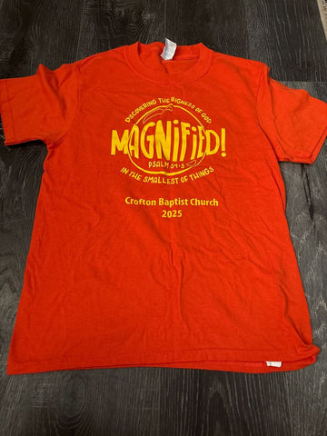 Gildan Orange magnified t shirt 10