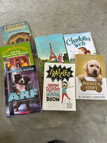 Various Book set Youth Chapter Book