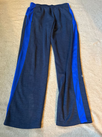 Champion Navy and blue athletic pants 12