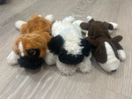 3 plush puppies 1 Ty, 2 others Plush Toys
