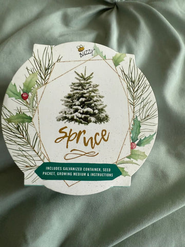 Spruce grow kit Holiday