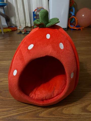 Unk Strawberry shaped kitty bed Pet