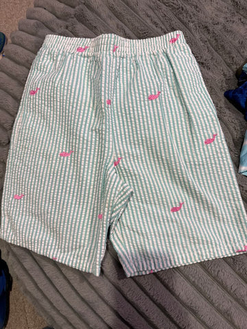 Kellys kids Seersucker shorts 7