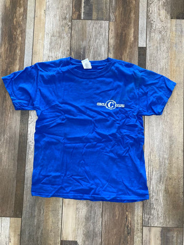 Blue T-shirt Size 10/12, Large - blue shirt 10