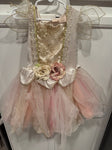 Fairy Dust Fairy dress no wings 4T/4