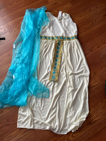 Unk Halloween goodness costume with sheer cape Women's XXL 18