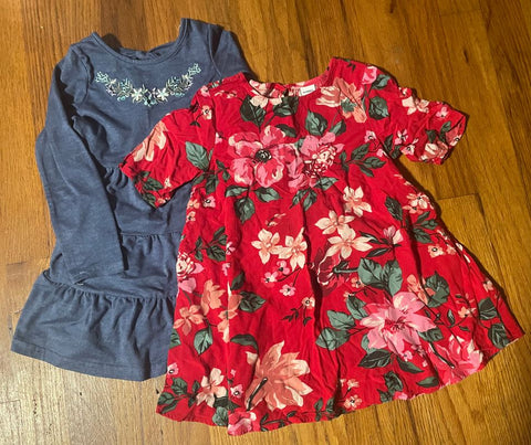 Various Red Flowered and Blue Dress 2T