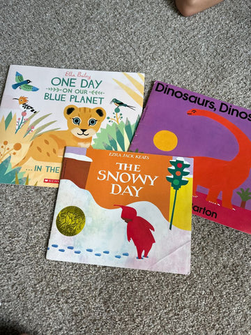 Scholastic 3 book bundle Early Reader