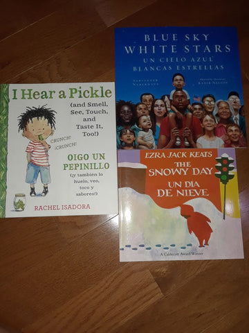 3 Books English Spanish Snowy Day I Hear a Pickle Preschool (3-5 yrs)
