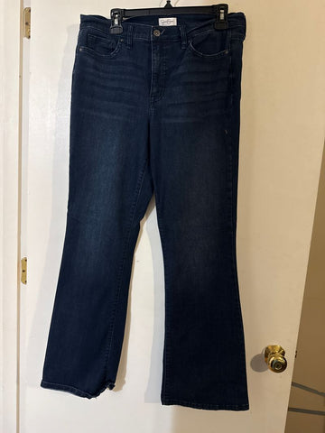 Jessica Simpson Dark boot cut  jeans Women's 10