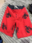 Gymboree Swim shorts 7