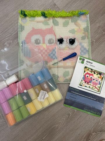 Owl latch hook pillow kit We already gave you a headstart Arts-Crafts-Hobbies